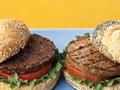 Soya Vegetable Burgers