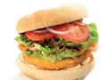 Chicken Tikka Burger