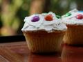 Vanilla Cupcakes