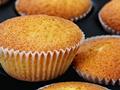 Plain Cup Cakes