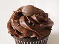 Chocolate Cup Cakes