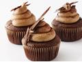 CINNAMON MOCHA CUPCAKES