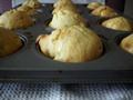 Citrus Mango Muffins