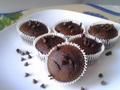 Choco-chip Chocolate Muffins