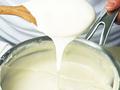 French White Sauce