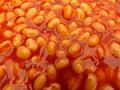Baked Beans in Tomato Sauce