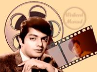 Waheed Murad