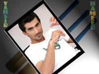 Yasir Hameed