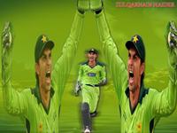 Zulqarnain Haider