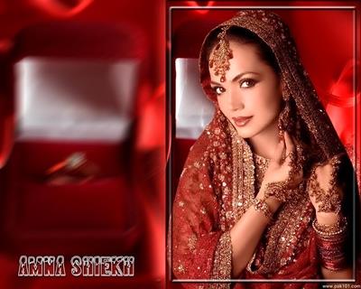 Amina Sheikh