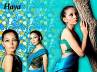 Haya