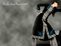 Maleeha Naipaul