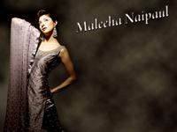 Maleeha Naipaul