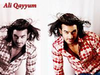 Ali Qayyum