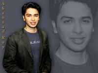 Shehzad Roy