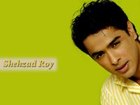 Shehzad Roy