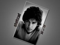 Shehzad Roy